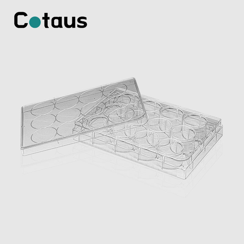 12 Hantle Cell Culture Plate