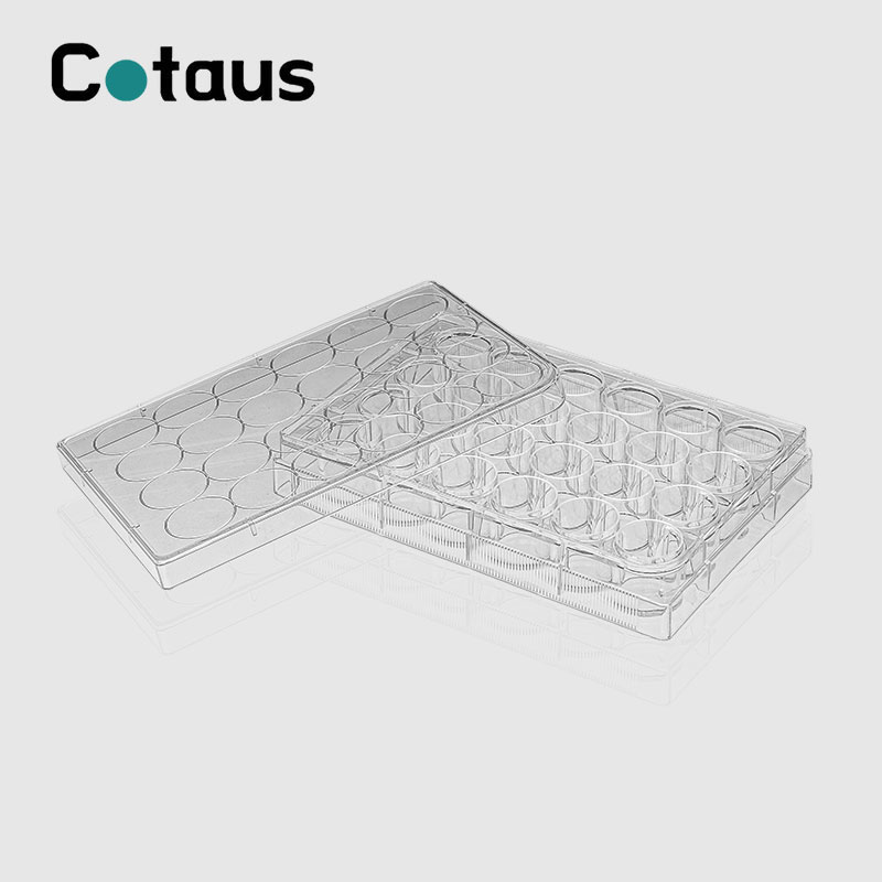 24 Hantle Cell Culture Plate