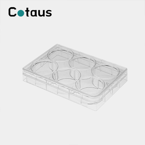 6 Hantle Cell Culture Plate