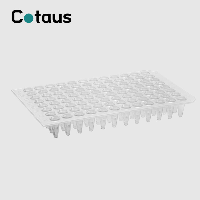 96 Hantle 0.2ml Transparent No Skirt PCR Plate